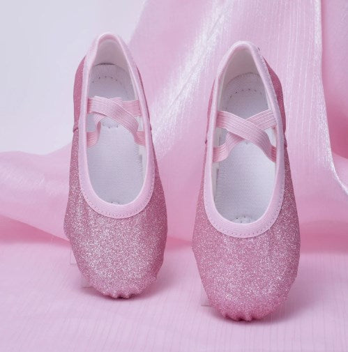 Glitter Ballet Practice Slippers Girls Women Professional Dancing Shoes for Stage Performance Model B14