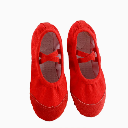 Non-slip wear-resistant professional ballet shoes