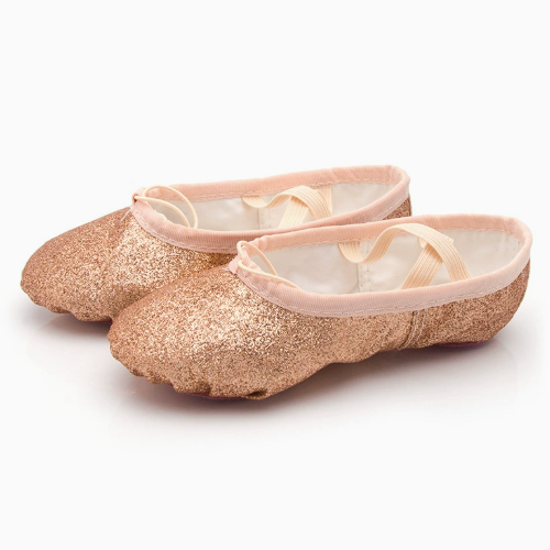 Glitter Lace-up Soft Sole Ballet Dance Shoes Stage Performance Footwear for Adults & Kids Model B11