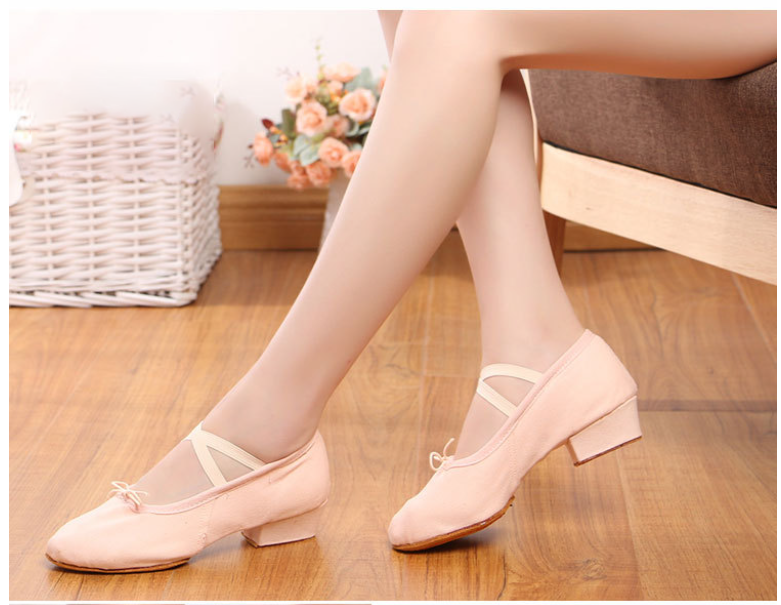 Women's Ballroom Dance Practice Shoes, 3cm Heel Canvas Teacher Shoes with Soft Sole for Ballet & Jazz