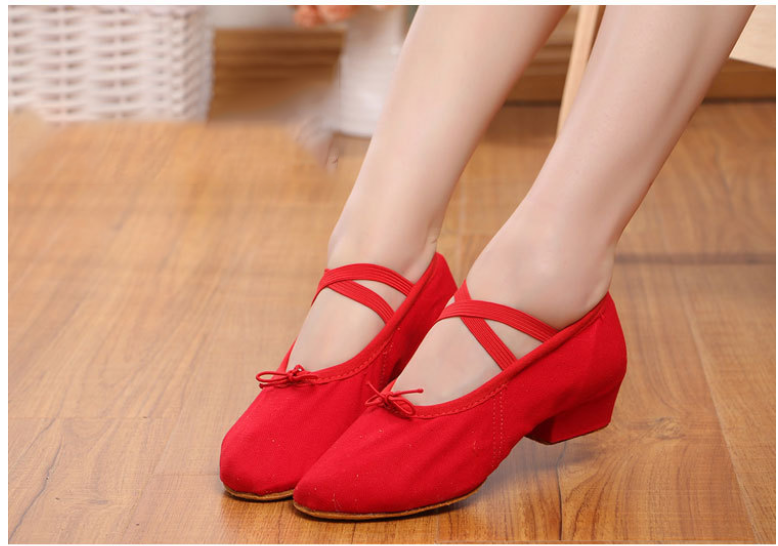 Breathable Canvas Dance Shoes for Ladies, Soft Sole 3cm Heel Teacher Training Shoes for Comfortable Wear