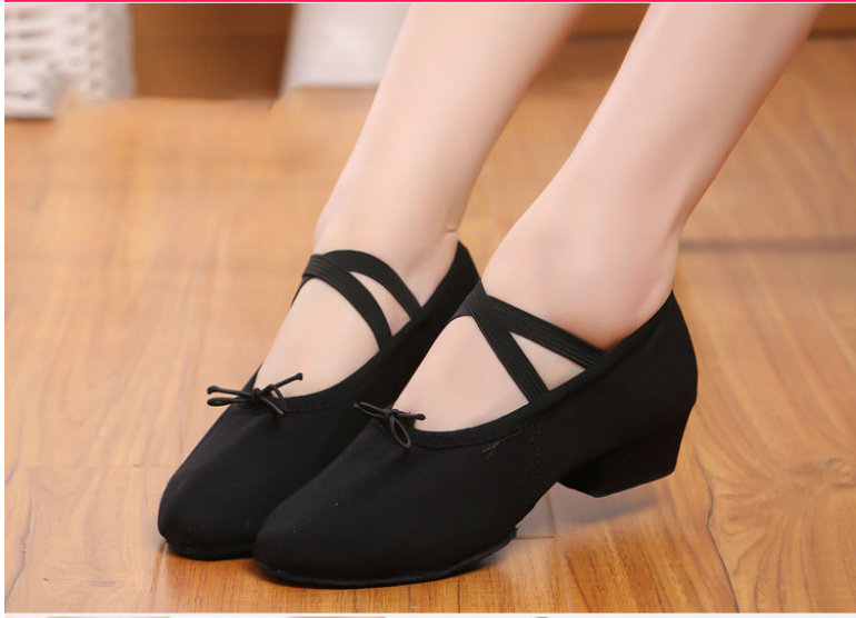 Women's Canvas Dance Shoes with 3cm Heel, Soft Sole Teacher Training Shoes for Ballroom Practice
