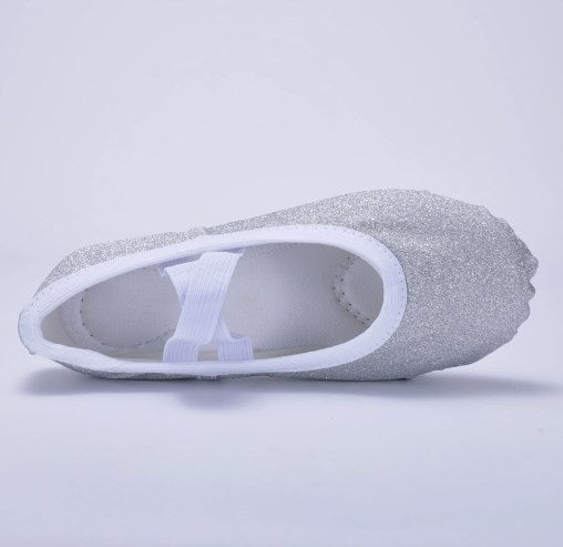 Glitter Ballet Practice Slippers Girls Women Professional Dancing Shoes for Stage Performance Model B14