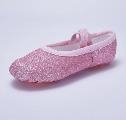 Glitter Ballet Practice Slippers Girls Women Professional Dancing Shoes for Stage Performance Model B14