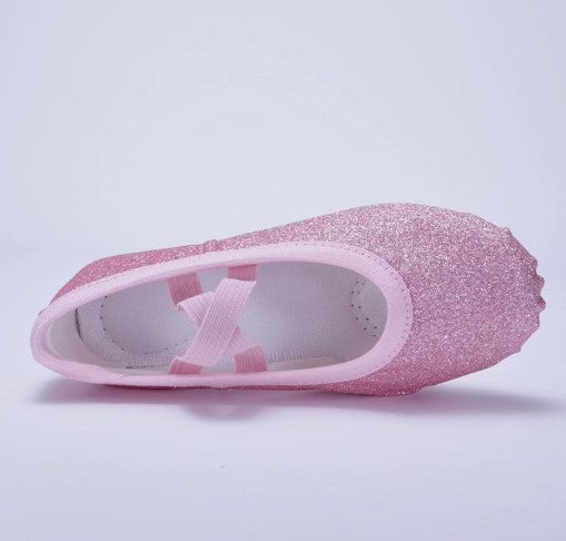 Glitter Ballet Practice Slippers Girls Women Professional Dancing Shoes for Stage Performance Model B14