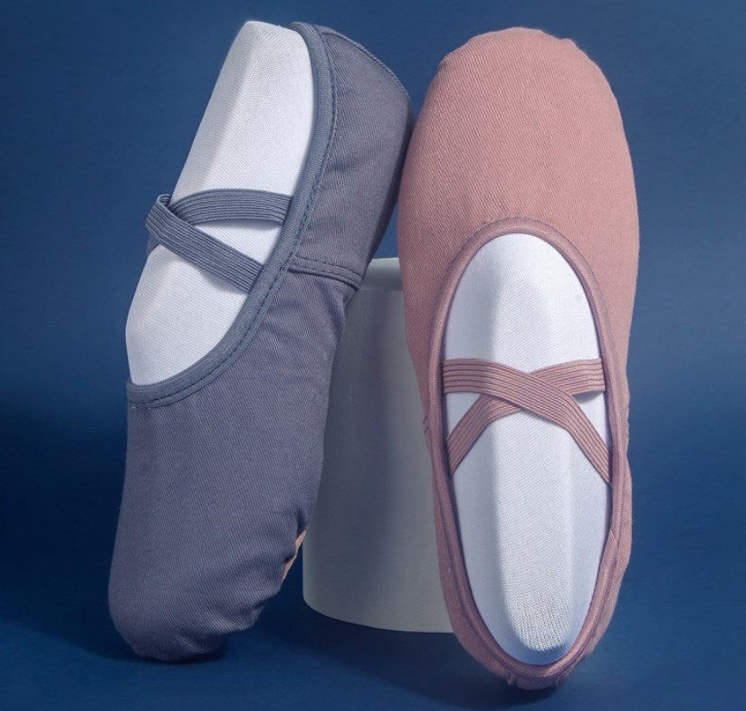 Portable easy-care dance training shoes for dancers