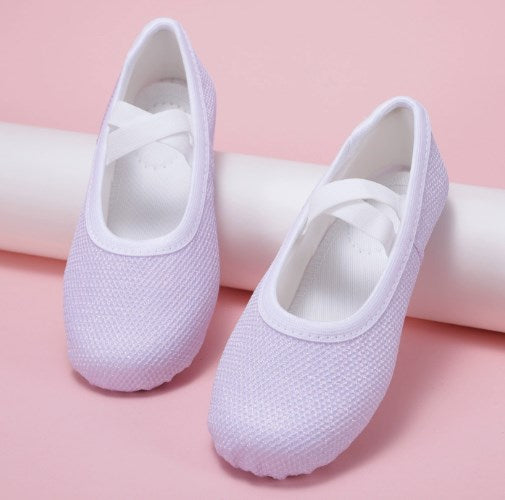 Breathable Mesh Girls Ballet Dance Shoes Soft Sole Elastic Ballet Practice Performance Shoes Model B25