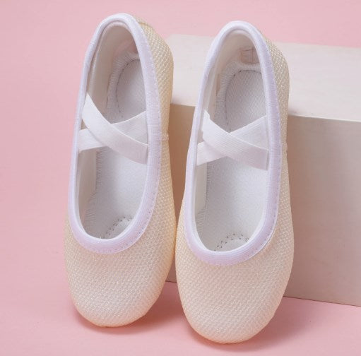 Breathable Mesh Girls Ballet Dance Shoes Soft Sole Elastic Ballet Practice Performance Shoes Model B25