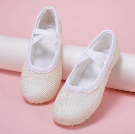 Breathable Mesh Girls Ballet Dance Shoes Soft Sole Elastic Ballet Practice Performance Shoes Model B25