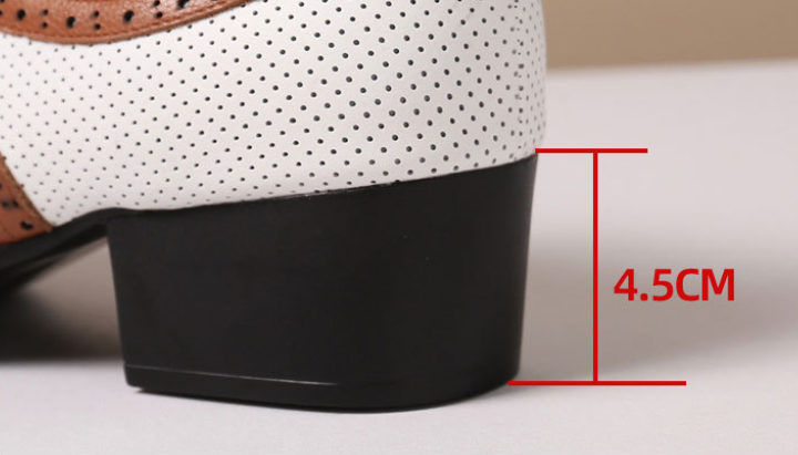 Men's Genuine Leather Ballroom Dance Shoes for Spring Autumn Outdoor Latin Social Dance Shoes Model M13