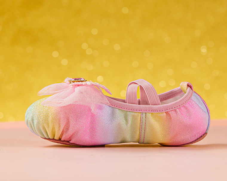 Girls Soft Sole Dance Practice Shoes for Daily Practice Class Training Non-slip Performance Shoes Model B21