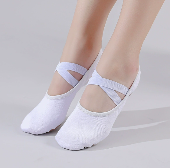 Women's Ballet Dance Shoes Elastic Fabric Breathable Ballet Slippers for Kids & Adults Model B22