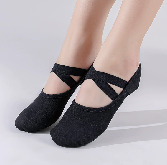 Women's Ballet Dance Shoes Elastic Fabric Breathable Ballet Slippers for Kids & Adults Model B22